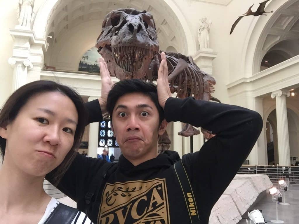 T-Rex Skeleton at the Field Museum, Chicago