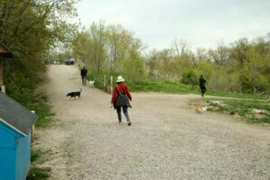 Etobicoke Valley Dog Park - an inside view of the entrance from within the dog park