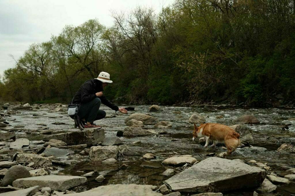Etobicoke Valley Dog Park - Maria and Limone playing in the shallow creek access with a rock beach