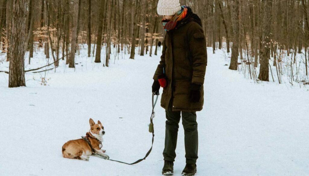 Woman with Corgi hiking in the winter