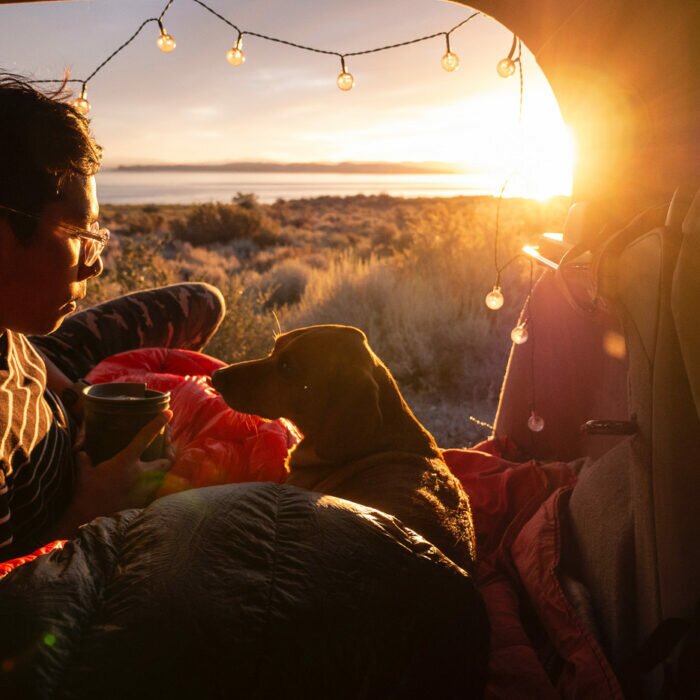 Ultimate Guide to Camping With Dogs – Camping Essentials and Tips