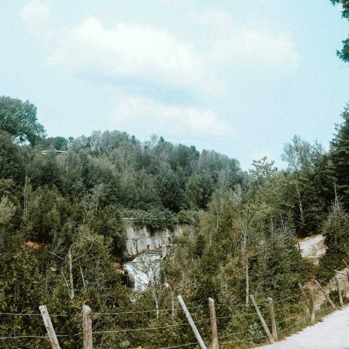 Dog-Friendly Guide to Forks of the Credit Provincial Park