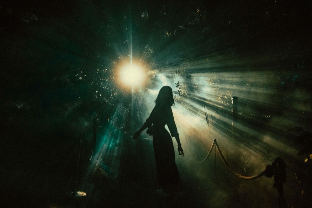 Silhouette of woman standing in front of a single bright light set behind a forest. Terra Lumina at the Toronto Zoo