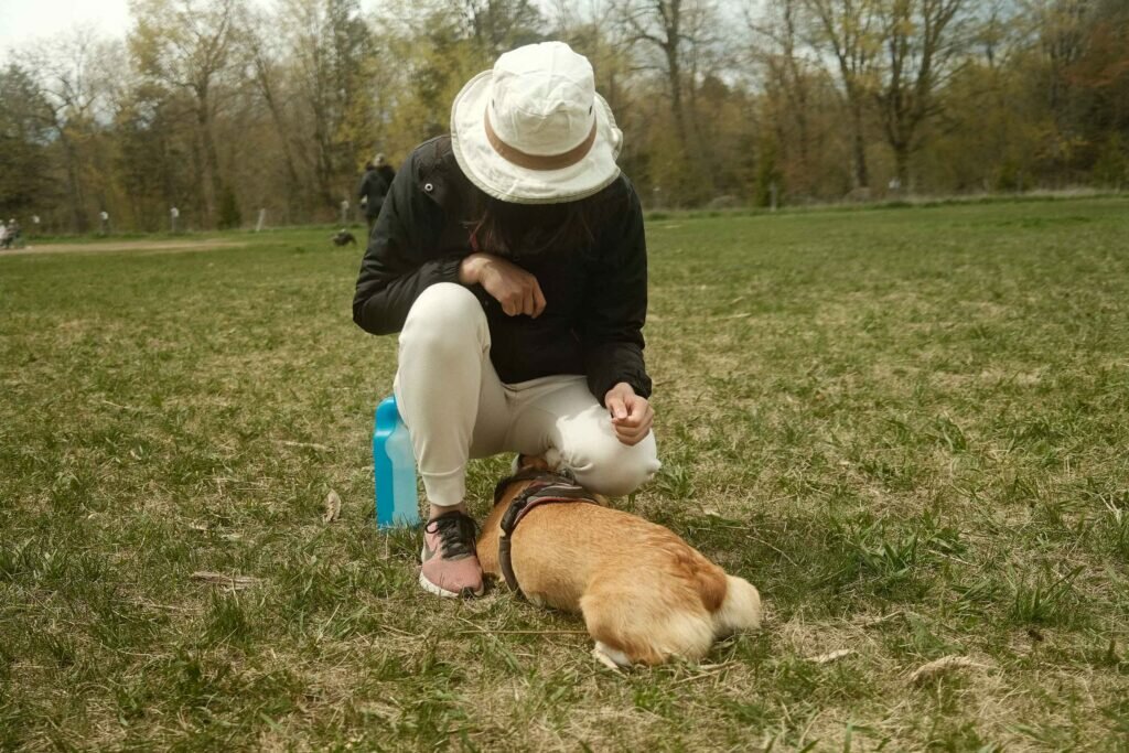 Woman wearing a sun hat bending down and caressing her corgi on a field at Harmony Valley Dog Park