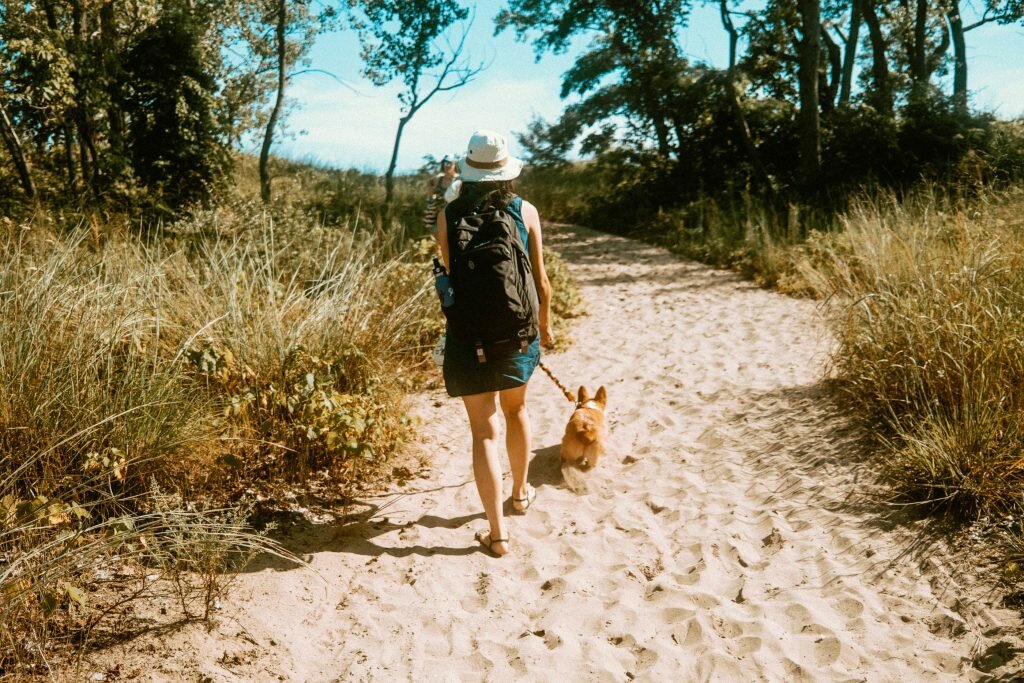 Woman wearing a black backpack walking up a sandy hill with a corgi on a leash at Long Point Provincial Park