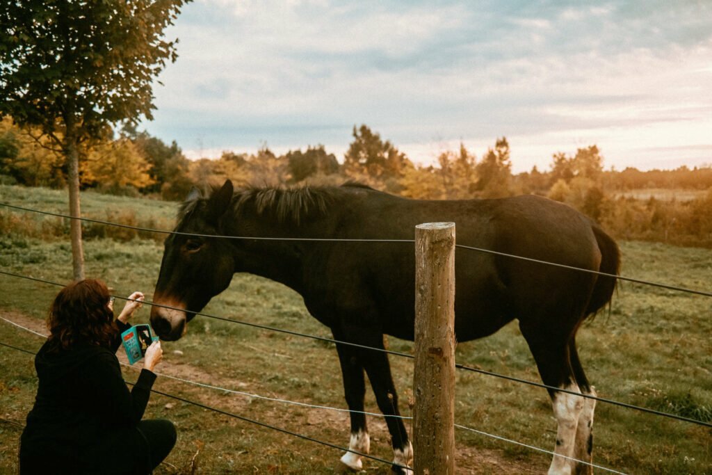 Our Unique Farm Stay at Haute Goat Farm - Alpaca Pen Sleepover Review Haute Goat offers a luxurious and unique farm stay experience for very reasonable mid-range prices. Let's take a look at what Haute Goat Alpaca Sleepover is like.