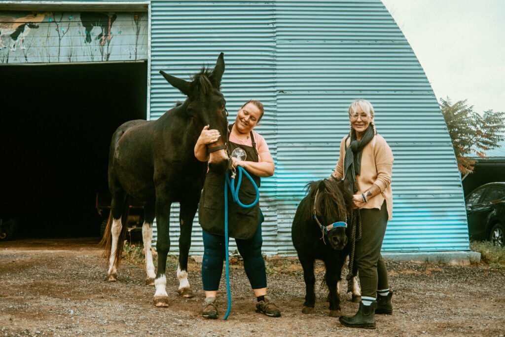 Our Unique Farm Stay at Haute Goat Farm - Alpaca Pen Sleepover Review Haute Goat offers a luxurious and unique farm stay experience for very reasonable mid-range prices. Let's take a look at what Haute Goat Alpaca Sleepover is like.