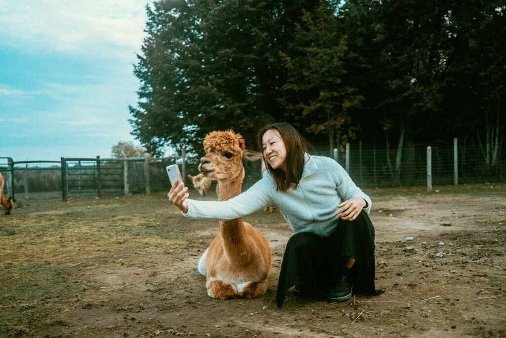 Maria from SYDE Road taking a selfie with Belle, the alpaca at Haute Goat