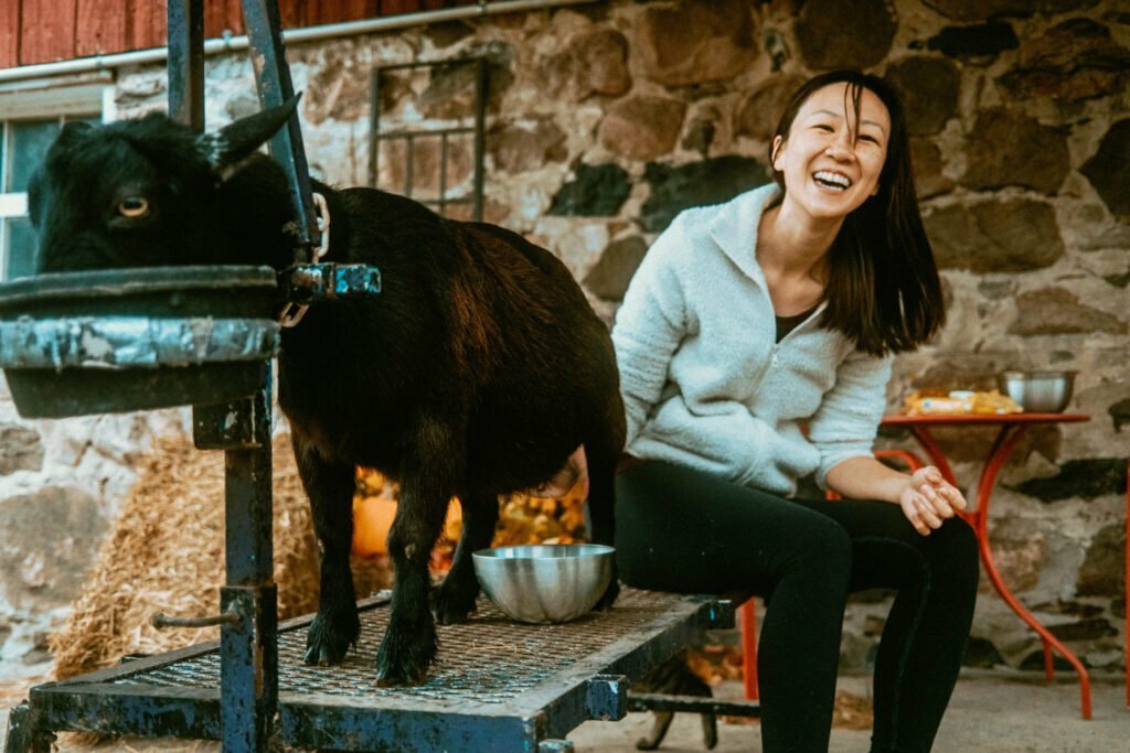 Our Unique Farm Stay at Haute Goat Farm - Alpaca Pen Sleepover Review Haute Goat offers a luxurious and unique farm stay experience for very reasonable mid-range prices. Let's take a look at what Haute Goat Alpaca Sleepover is like.