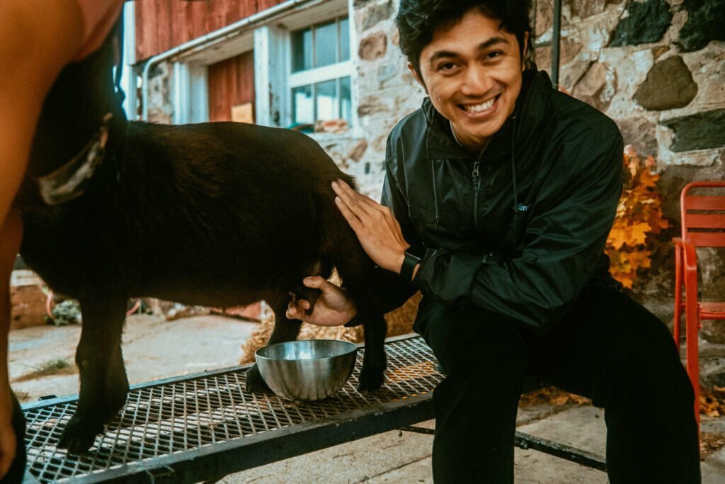 Our Unique Farm Stay at Haute Goat Farm - Alpaca Pen Sleepover Review Haute Goat offers a luxurious and unique farm stay experience for very reasonable mid-range prices. Let's take a look at what Haute Goat Alpaca Sleepover is like.