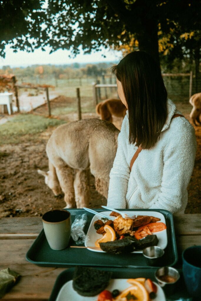 Our Unique Farm Stay at Haute Goat Farm - Alpaca Pen Sleepover Review Haute Goat offers a luxurious and unique farm stay experience for very reasonable mid-range prices. Let's take a look at what Haute Goat Alpaca Sleepover is like.