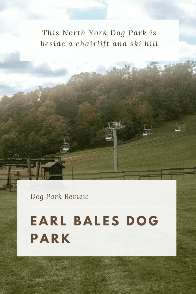 Earl Bales ski hill and chairlift during the summer - image taken for SYDE Road Earl Bales Dog Park Review