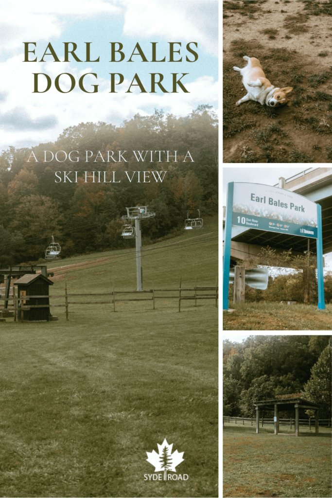 Middle-left: Earl Bales ski hill and chairlift during the summer - image taken for SYDE Road Earl Bales Dog Park Review. Top-right: Limone laying on the ground at Earl Bales dog park. Middle-right: Earl Bales Dog Park sign. Bottom-right: Northwest area of Earl Bales off-leash dog park