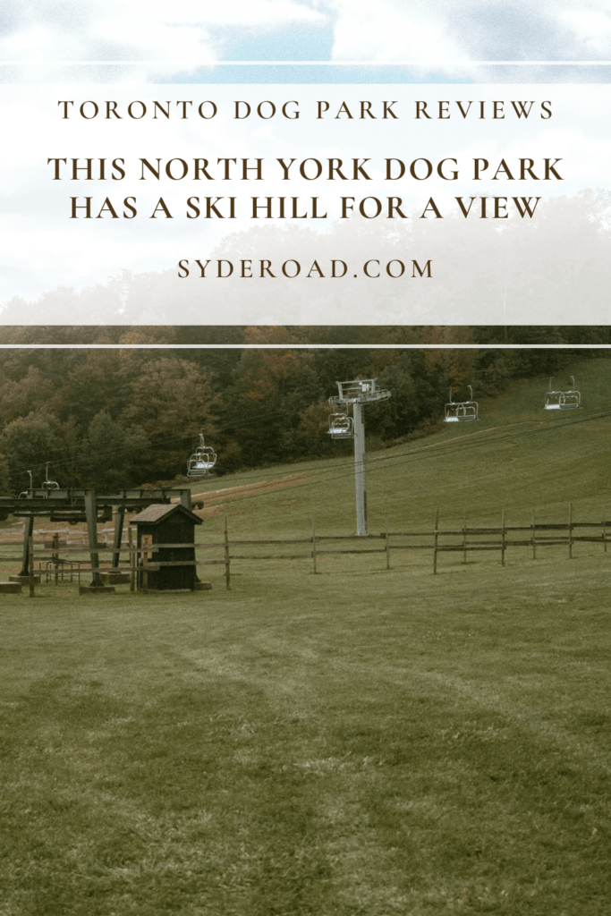 Earl Bales ski hill and chairlift during the summer - image taken for SYDE Road Earl Bales Dog Park Review.