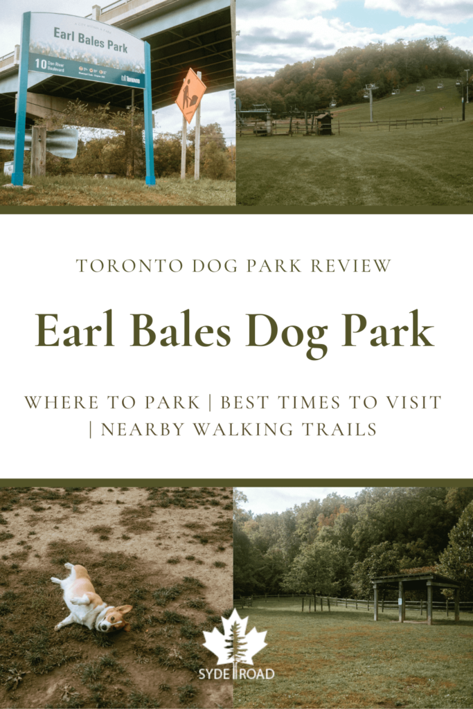 Top-left: Earl Bales Dog Park sign.Top-right: Earl Bales ski hill and chairlift during the summer - image taken for SYDE Road Earl Bales Dog Park Review. Bottom-left: Limone laying on the ground at Earl Bales dog park. Bottom-right: Northwest area of Earl Bales off-leash dog park