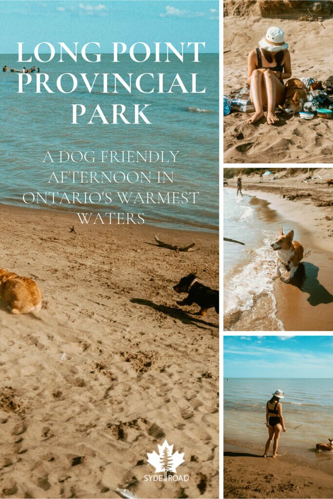 Left: Two dogs in mid-run on a beach at Long Point Provincial Park’s Off-Leash Dog Beach. Top-right: Woman sitting on a picnic blanket on the beach with corgi lying down beside her. Middle-right: Corgi running on the shoreline of Lake Erie at Long Point Provincial Park. The dog is getting ready to chase after a stick in a person's hand. Bottom-right: Woman in a swimsuit and bucket hat standing on the shoreline facing the lake. Corgi is standing nearby in the shallow water