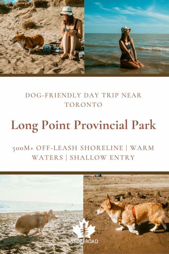 Top-left: Woman sitting on picnic blanket watching a corgi about to run on the beach. Top-right: Woman in a swimsuit and bucket hat sitting on water-covered sandbanks enjoying the sun. Bottom-left: Corgi in harness on the beach shaking water off her fur. Bottom-right: Corgi in colourful harness trotting on sand