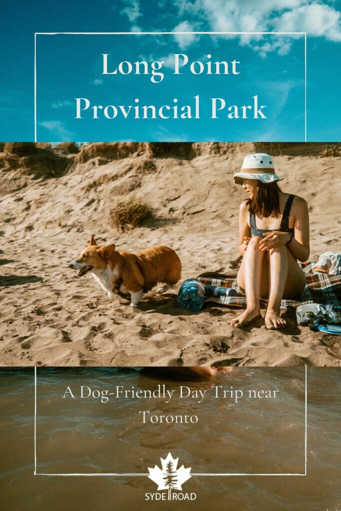 Background image: Sky blue skies and sand. Forefront image: Woman sitting on a picnic blanket watching a corgi about to run on the beach.