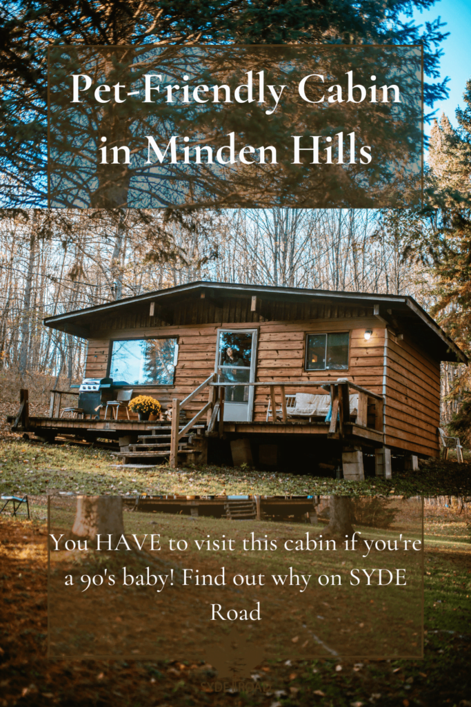 Rustic Cozy Cabin in Minden Hills - A Hipcamp Find. Pinterest Pin 6