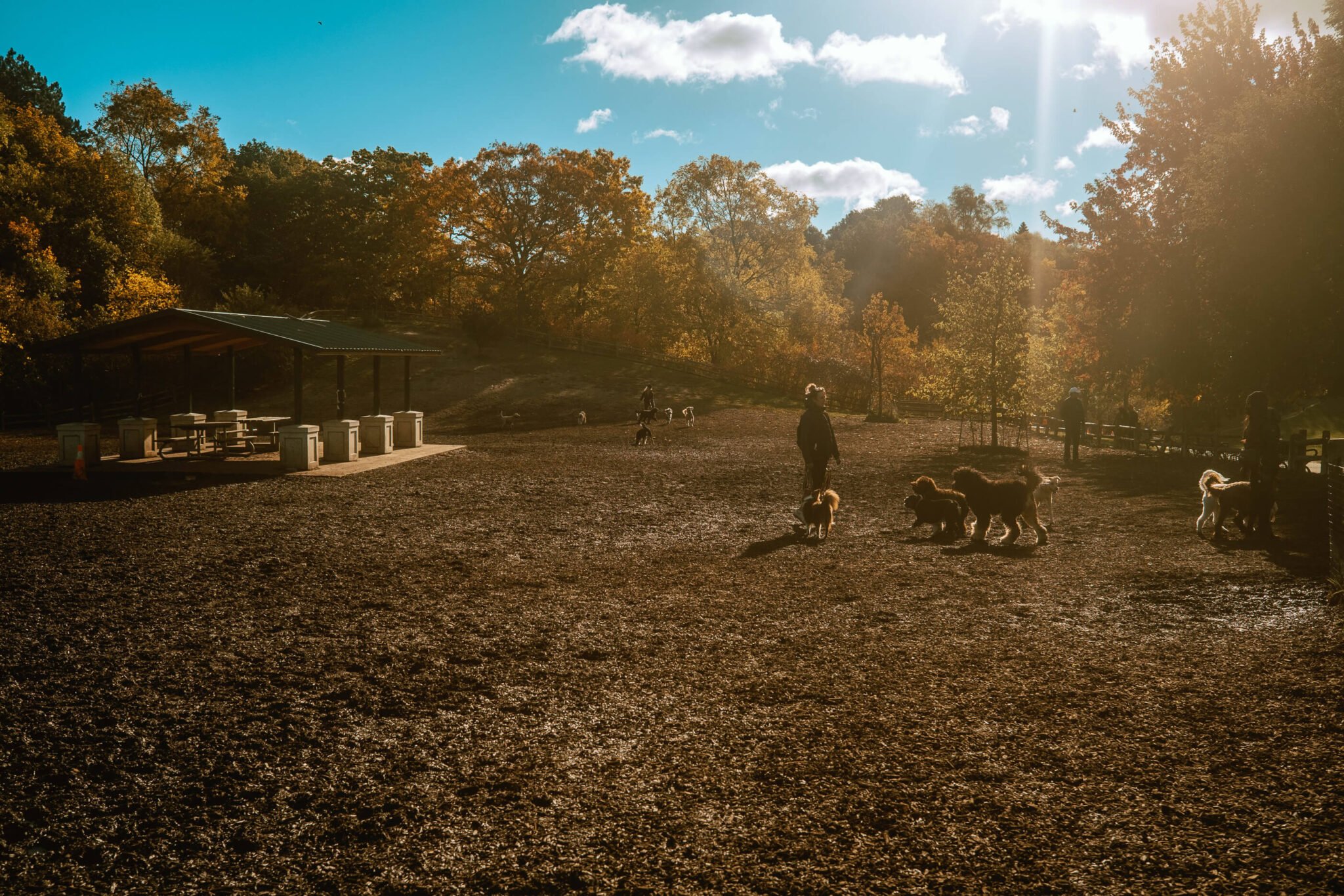 4 Dog Parks In Toronto Where You Can Avoid Spring Mud Puddles   DSF1034 2048x1366 