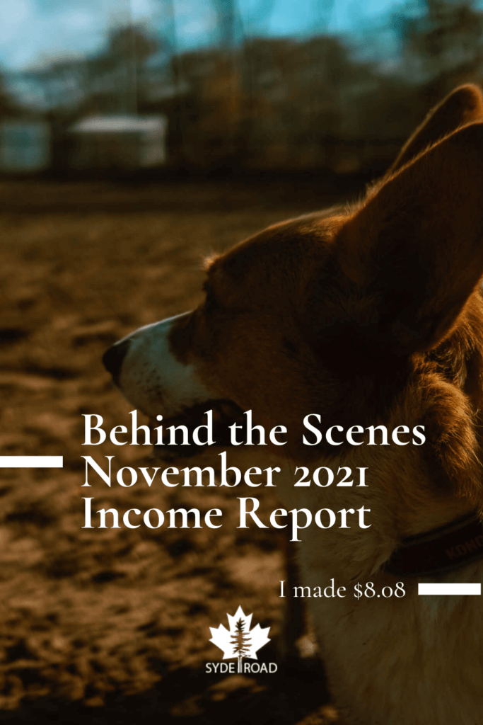 November 2021 - SYDE Road - Blogging Behind the Scenes NOVEMBER 2021 - SYDE Road's monthly series of Blogging Behind the Scenes. Insight of Maria's personal experience of blogging life behind the scenes. Check out SYDE Road's monthly income, how we're feeling, and what other activities we're working on.