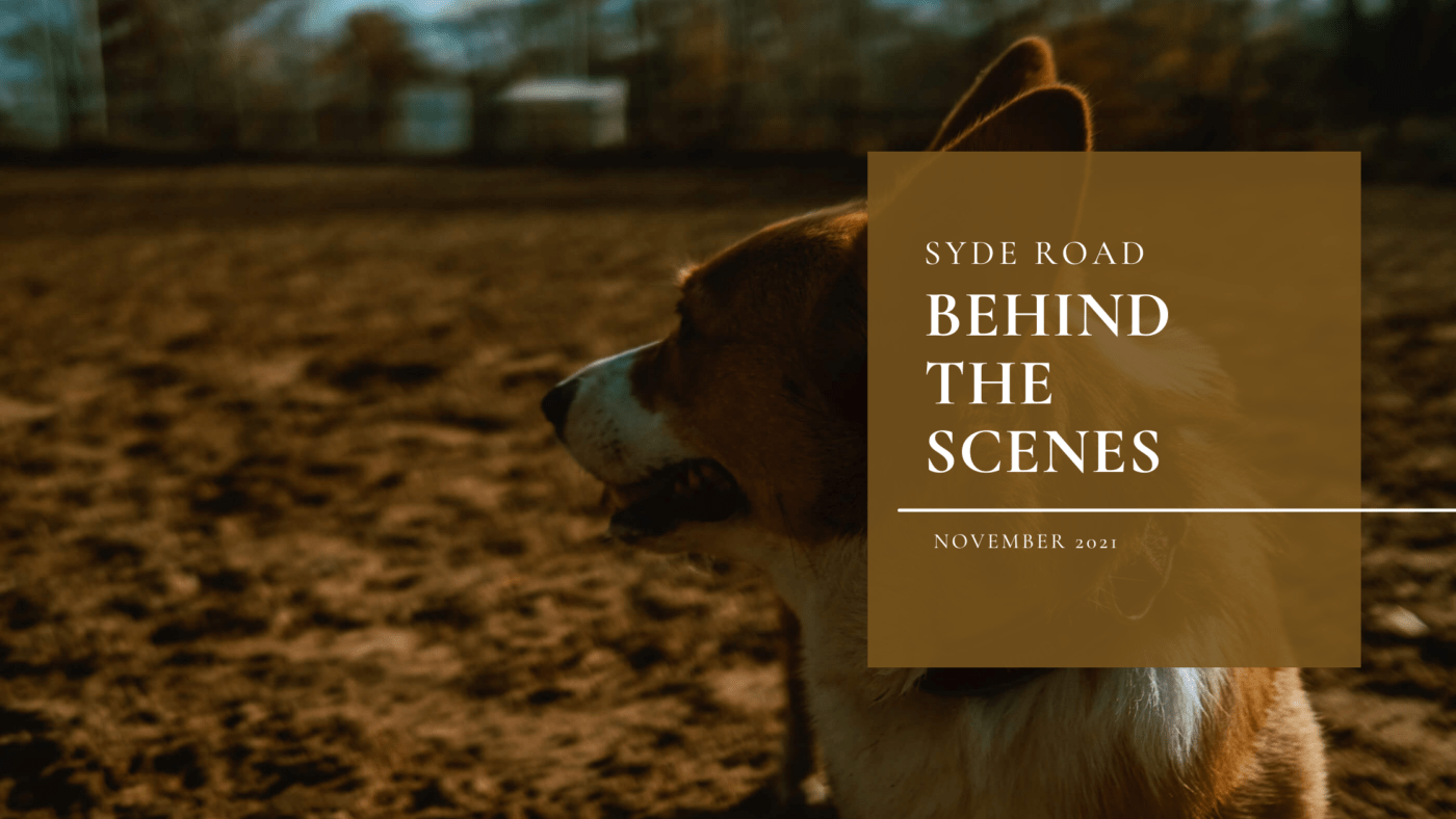 November 2021 – SYDE Road – Blogging Behind the Scenes