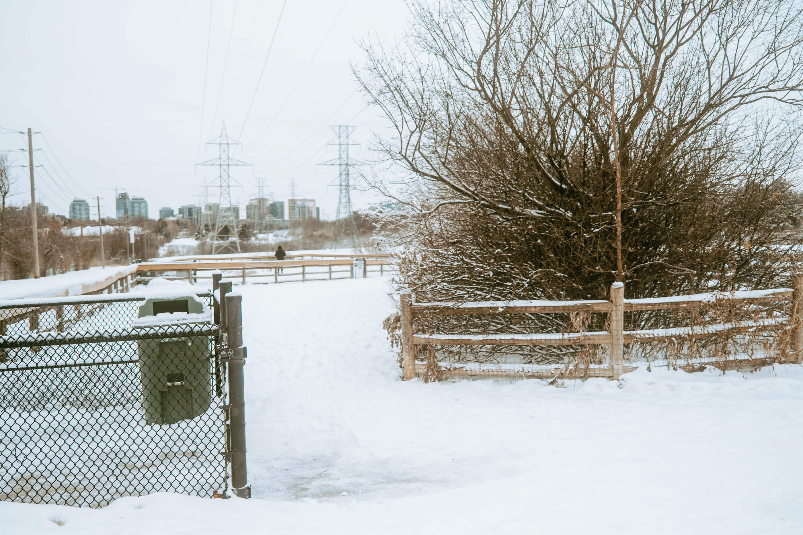 Small Dog Area of Bayview Arena Park Featuring the fenced and wooded center area. Image is taken in the winter, with snow covering all the pea gravel in the dog park. To the left is the fenced entryway of the small dog area with a large disposal bin located near the gate. In the background you can see the fenced large dog area. Beyond that is a set of transmission towers overlooking the North York skyline