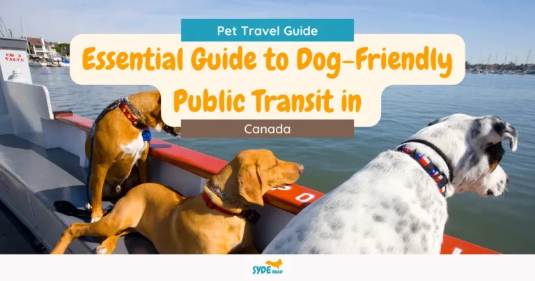 Riding with 4 paws: The essential guide to dog-friendly public transit options in Canada