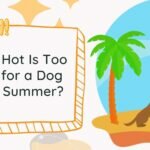 Illustration of a woman in a bathing suit with a dog sitting beside her on a tropical island. To the right of the illustration is the title text: Ouch! How hot is too hot for a dog this summer?