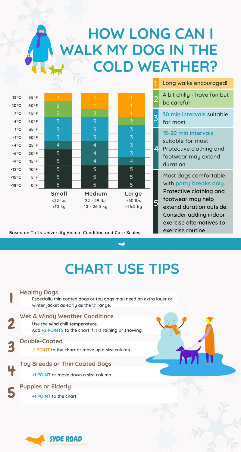 When Is It Too Cold To Walk Your Dog In Canada? - SYDE Road