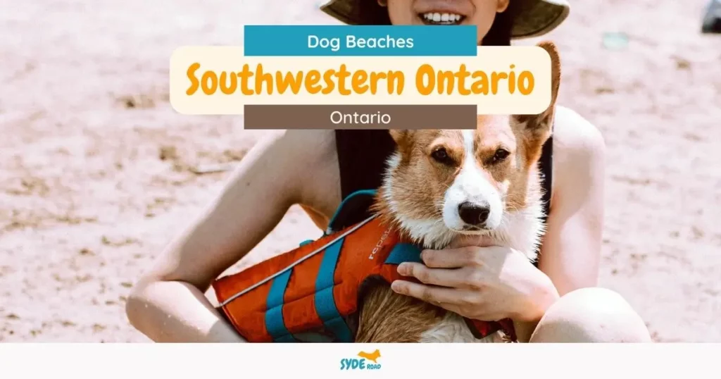 Dog beaches in Southwestern Ontario - list of all the dog beaches in Southwestern Ontario - 1 of 13 regions of Ontario