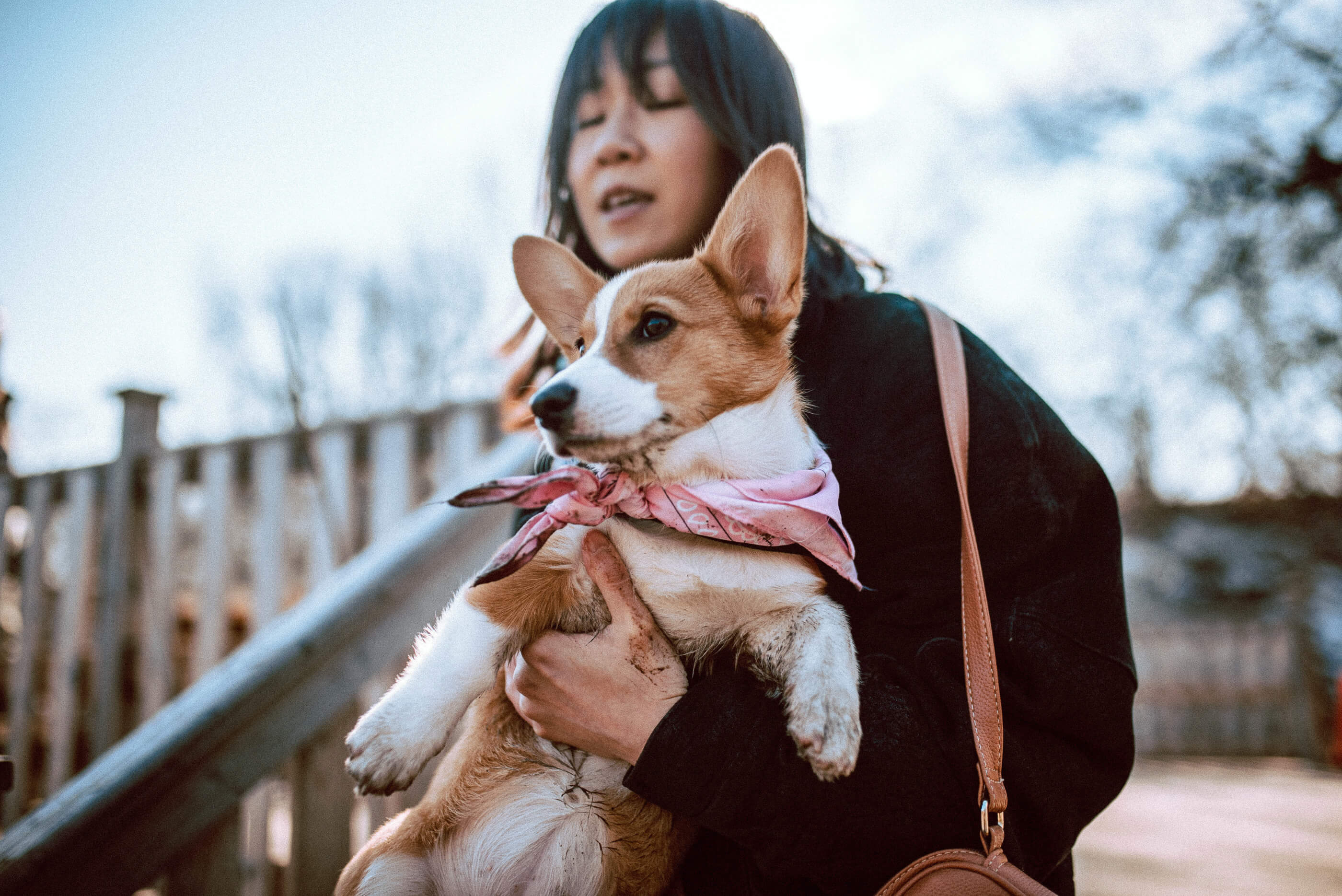 Limone, a red and white corgi, wearing a muddy pink bandana is held in Maria's arm. Image is taken atop the viewing platform at the Dog Bowl at Trinity Bellwoods Park
