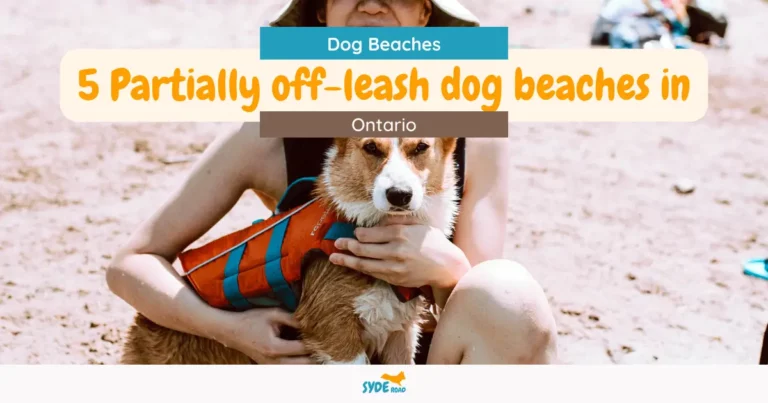 5 partially off-leash dog beaches in Ontario